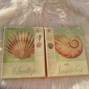 Home Interiors Wall Hanging Canvas Set Seashells Shells Scallop Nautilus Decor